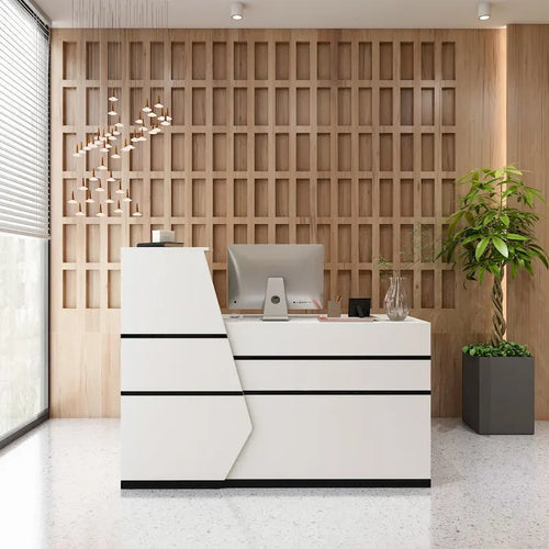 FUFU&GAGA 1-Drawer Reception Computer desk With one Door